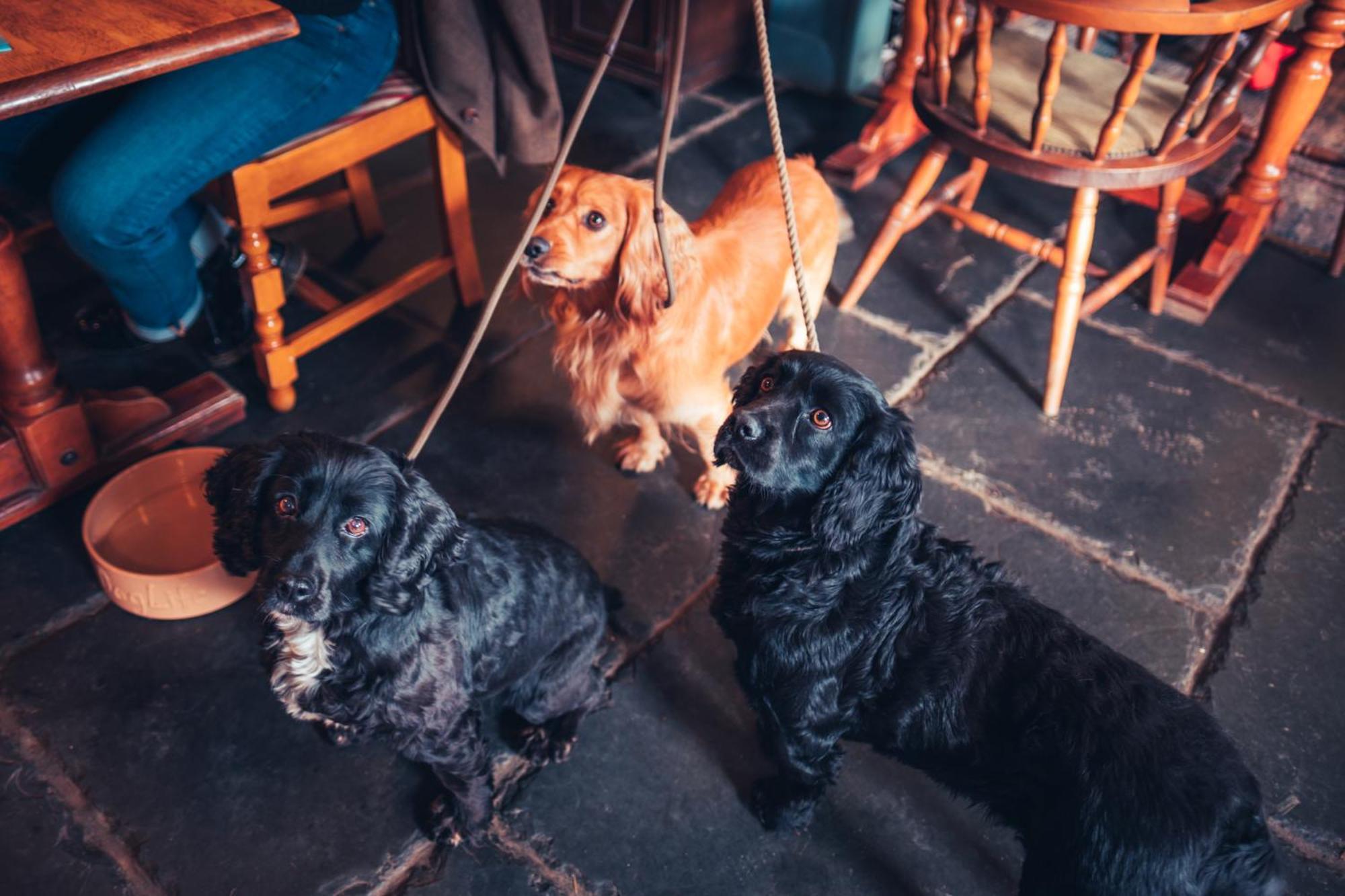 The White Horse Inn Bunkhouse Threlkeld ภายนอก รูปภาพ